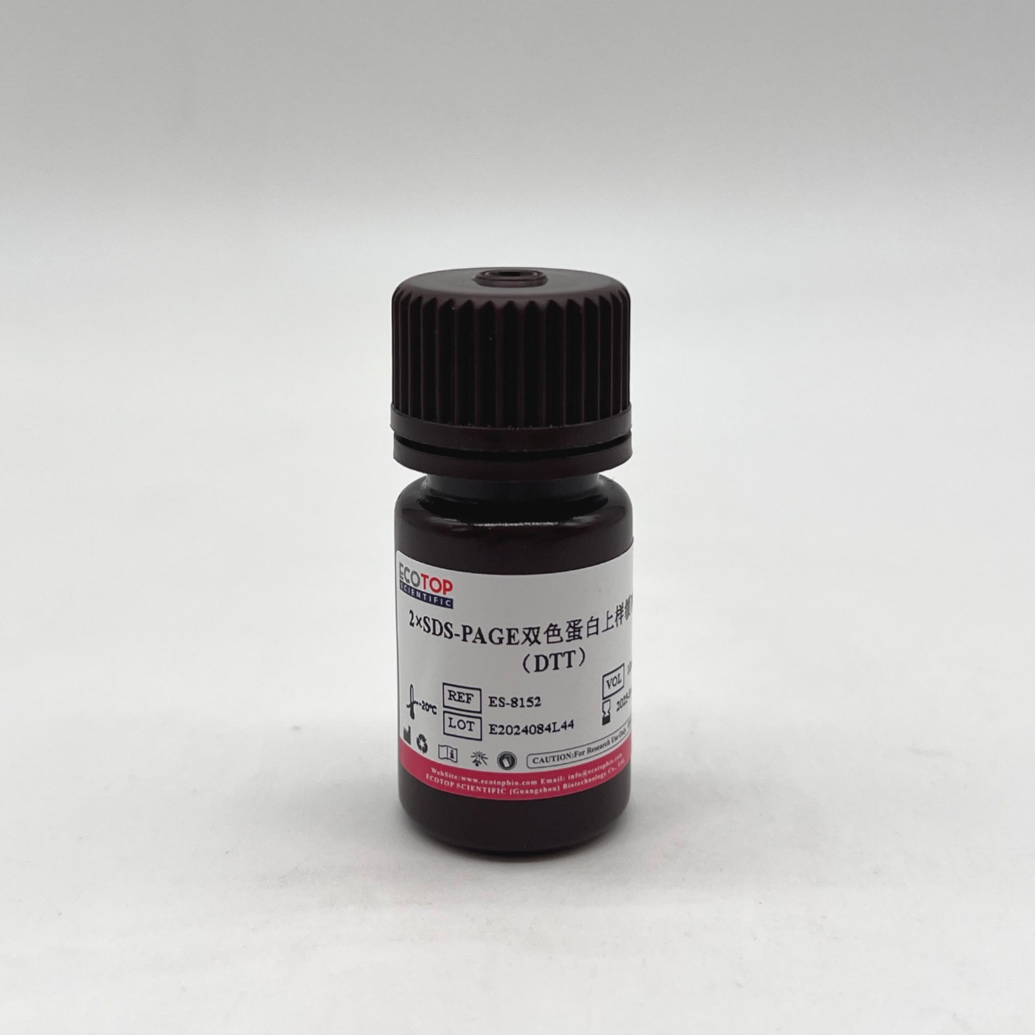 2×SDS-PAGE双色蛋白Loading buffer（DTT）-10ml