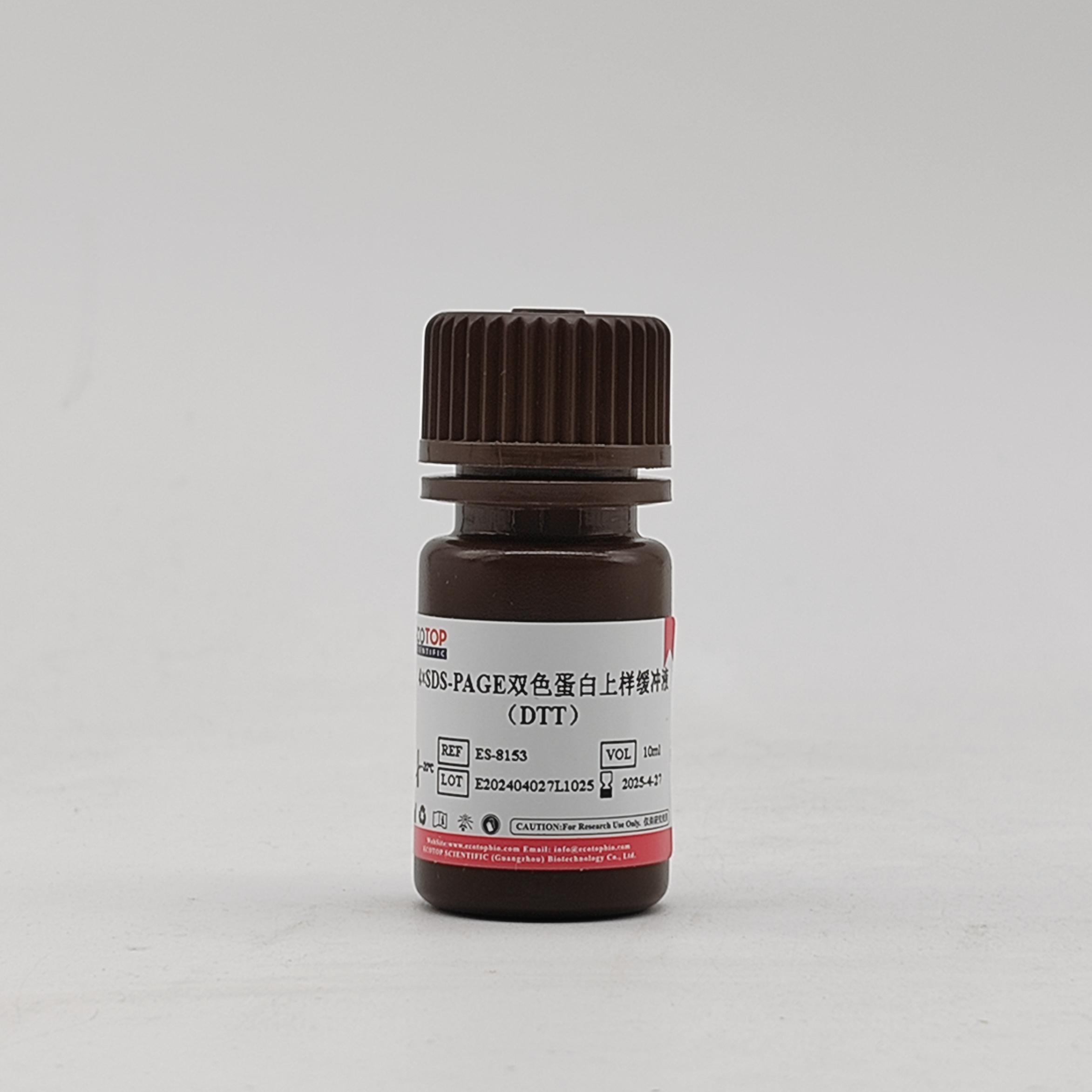 4×SDS-PAGE双色蛋白Loading buffer（DTT）-10ml