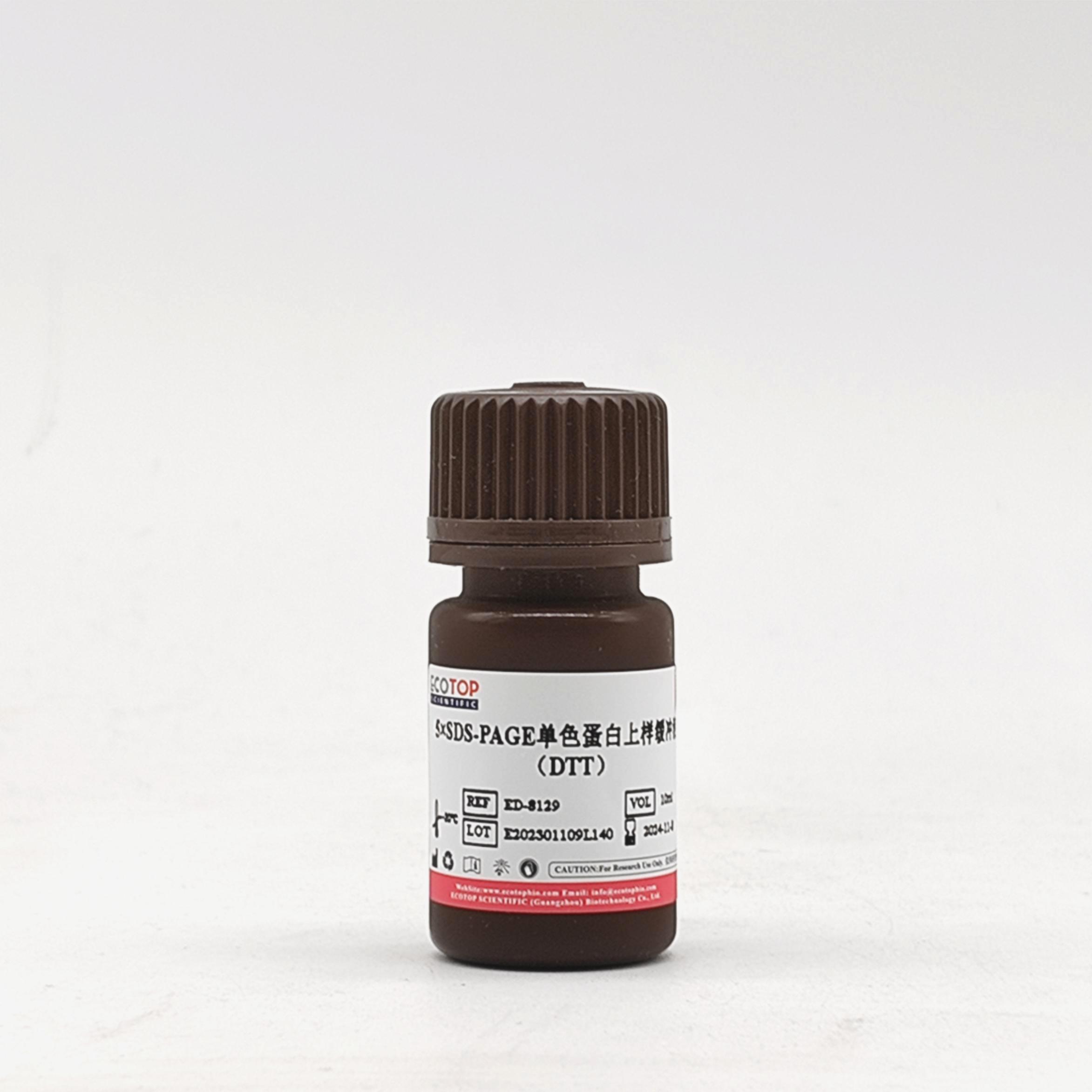 5×SDS-PAGE蛋白上样缓冲液（DTT）-10ml